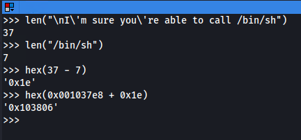 python binsh