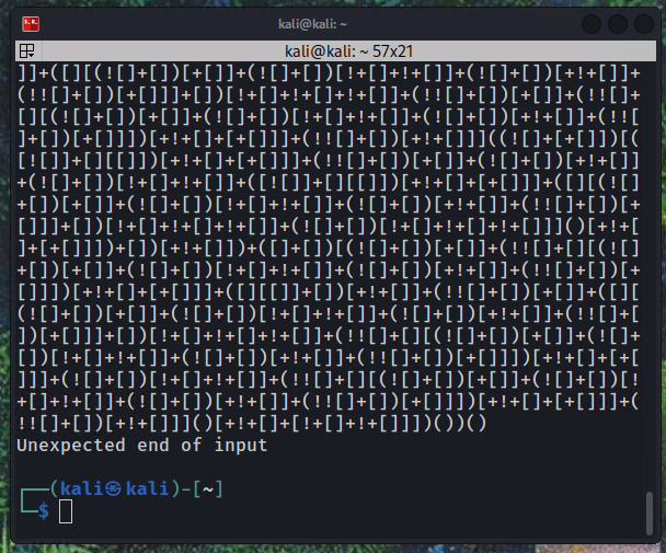Terminal output