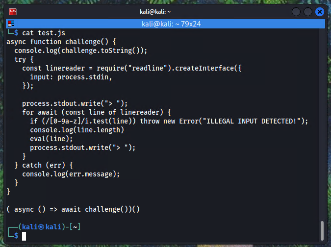Terminal output